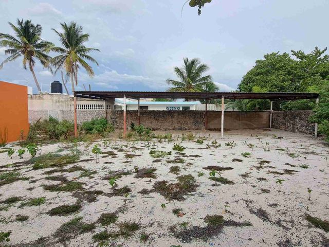 place photo 15