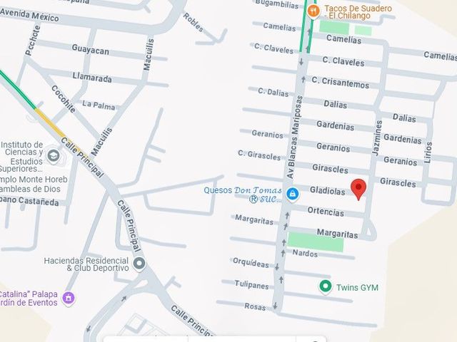 place photo 12