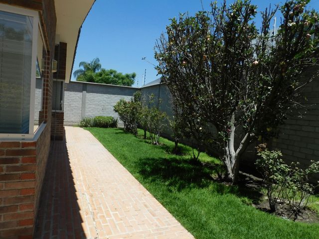 place photo 40