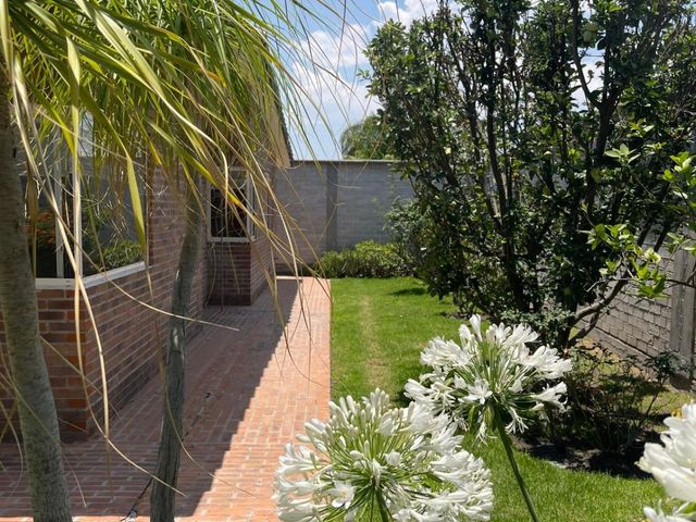place photo 87