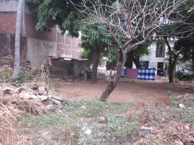 place photo 16