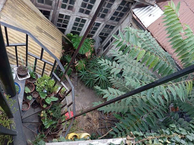 place photo 44
