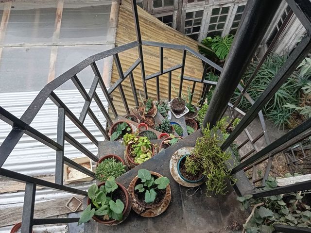 place photo 43