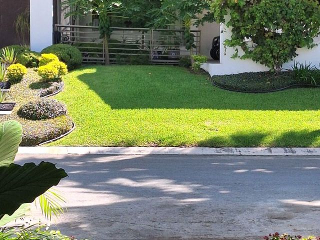place photo 58