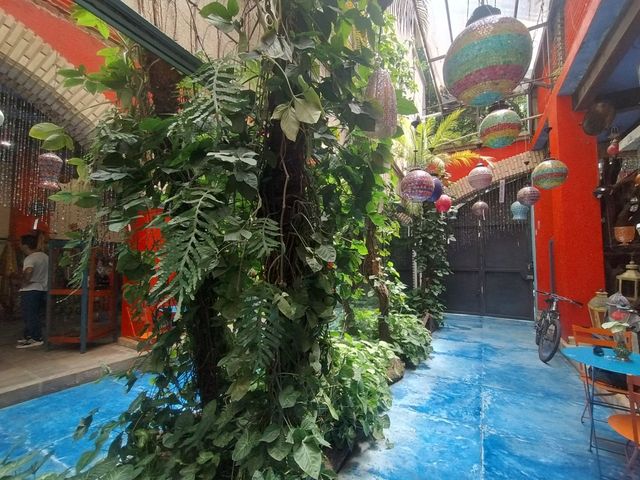 place photo 15