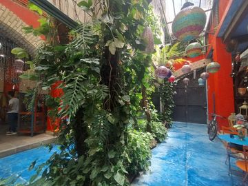 place photo 19