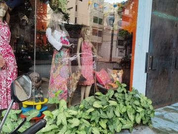 place photo 24
