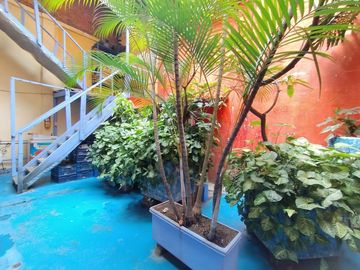 place photo 16