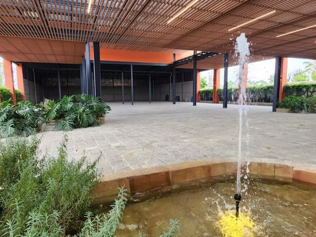 place photo 37