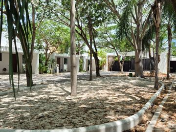 place photo 21