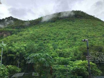 place photo 46
