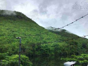 place photo 49