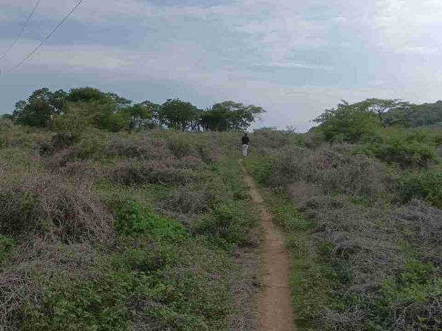 place photo 20