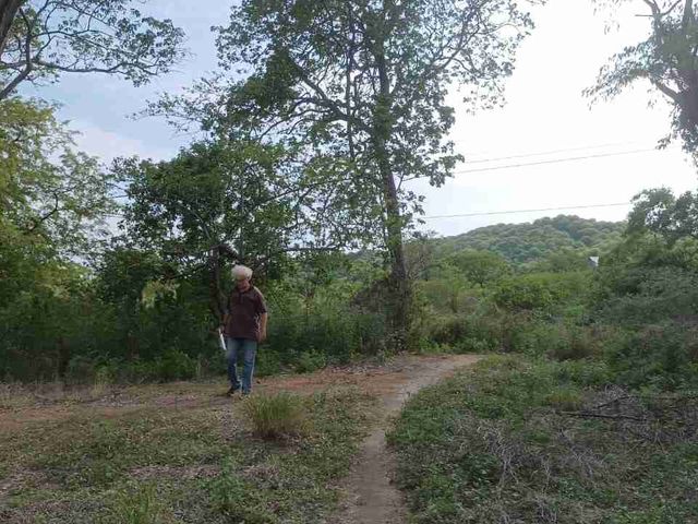 place photo 21