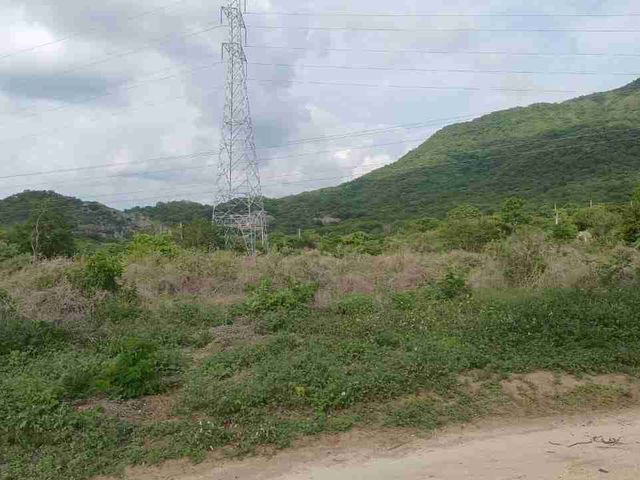place photo 24