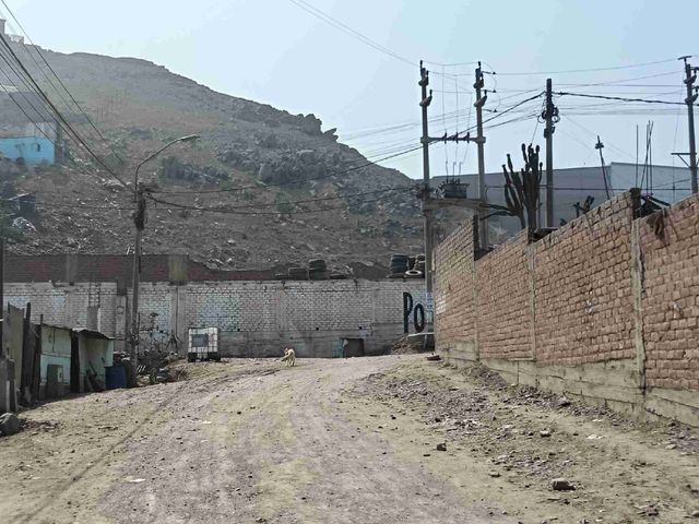 place photo 10