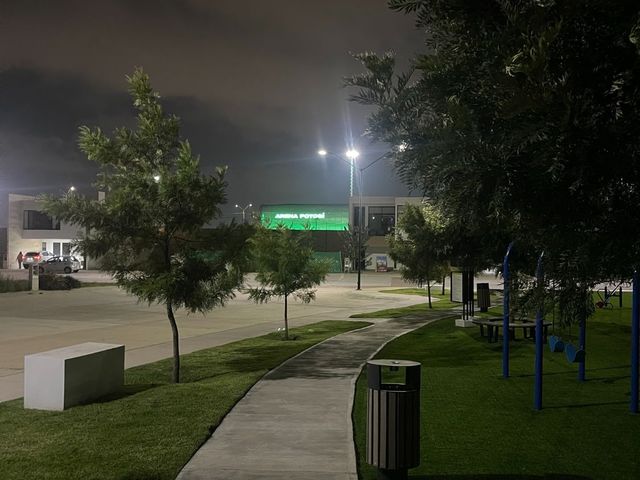 place photo 14