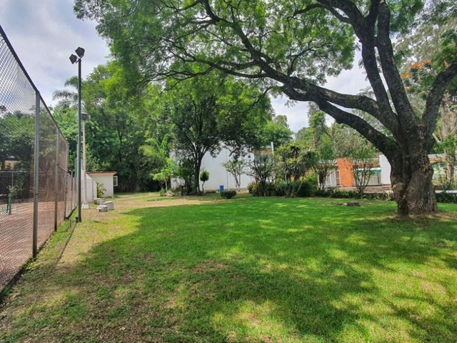 place photo 36