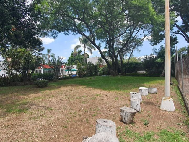 place photo 34