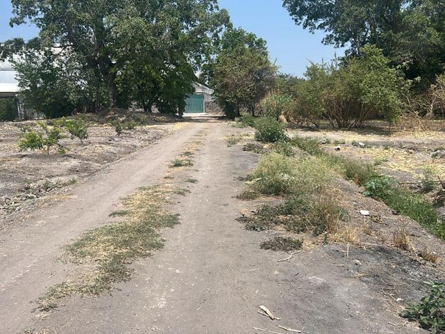 place photo 11