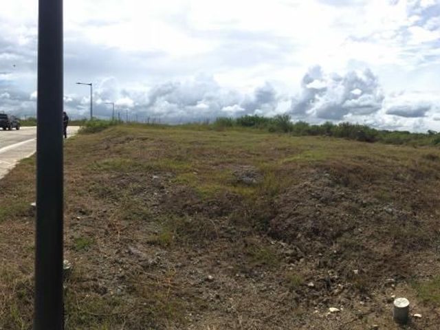 423sqm Residential Lot for Sale in Ardia Vermosa, Imus, Cavite