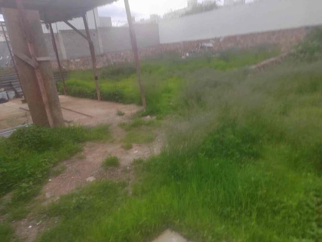 place photo 25