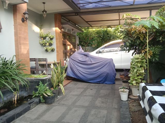 place photo 20