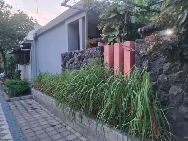 place photo 19