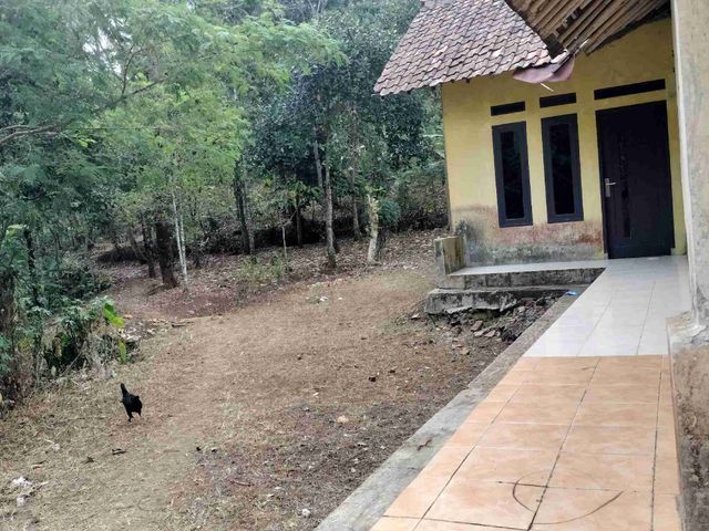 place photo 6