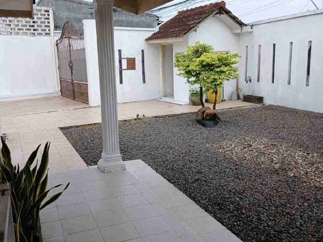 place photo 13