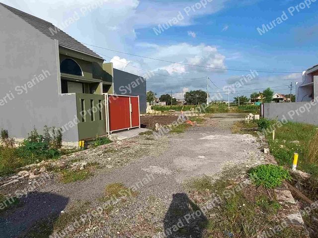 place photo 10