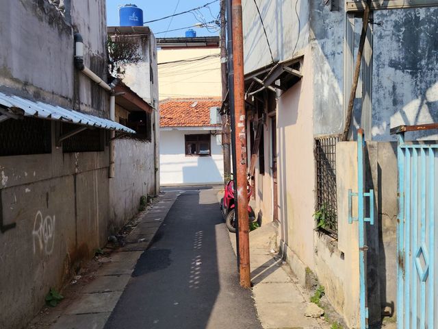 place photo 17