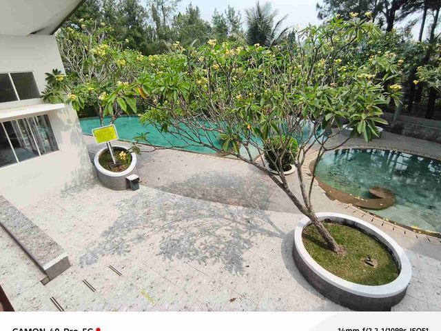 place photo 43