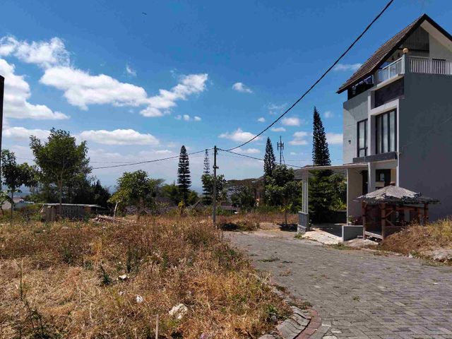 place photo 10