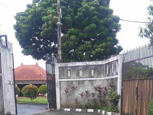 place photo 15