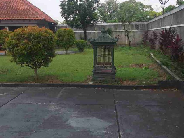 place photo 17