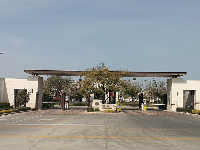place photo 41