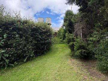 place photo 18