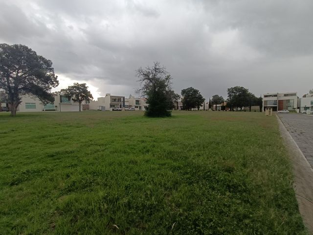 place photo 38