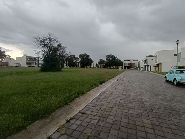 place photo 39