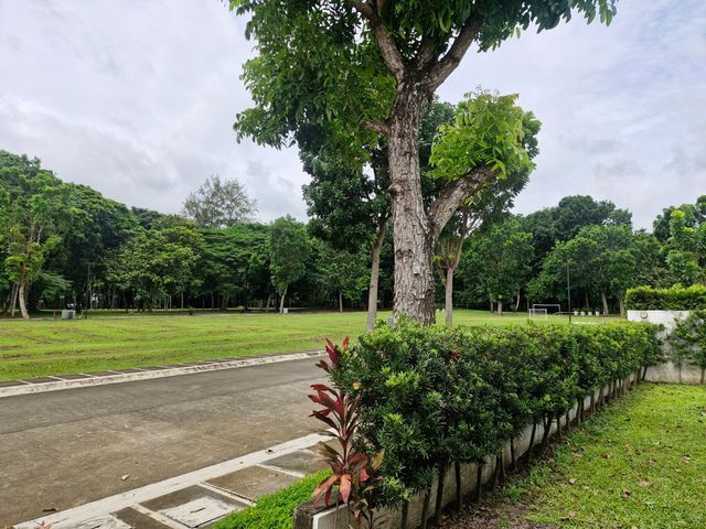 place photo 39
