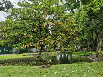 place photo 30