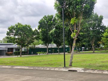 place photo 44