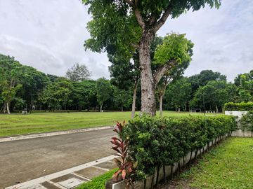 place photo 49