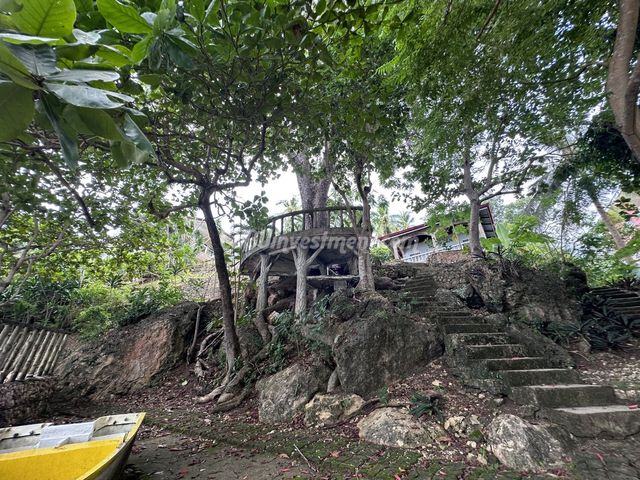 place photo 5