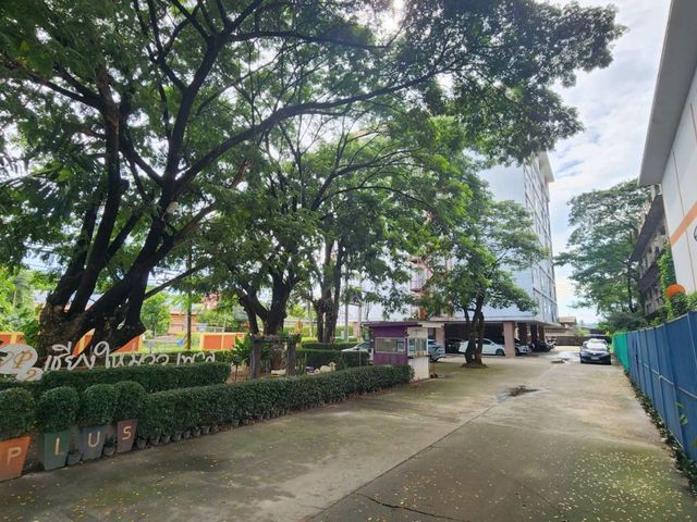 place photo 23