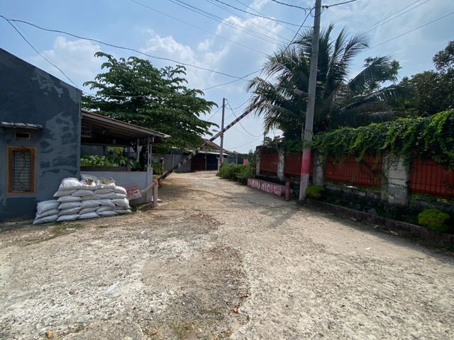 place photo 20