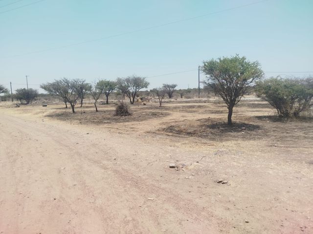 place photo 3