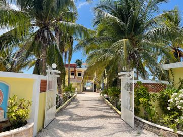 place photo 13