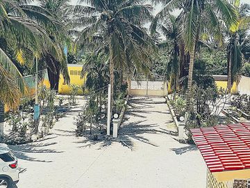 place photo 12